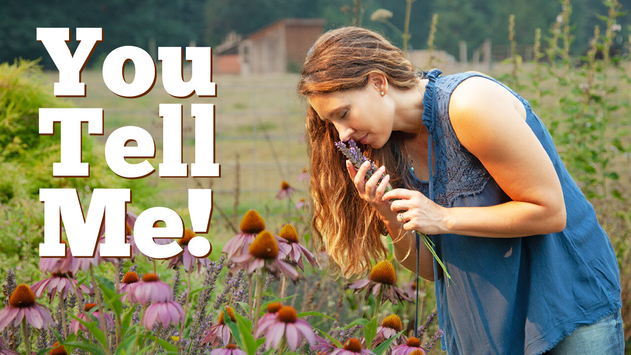Why I'm Pressing Pause - And How You Can Help Shape What's Next