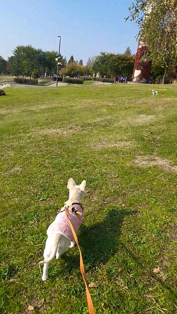 20251104. God made the world.