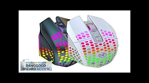 HXSJ T500 2.4G Wireless Mouse RGB 800-1600DPI Type-C Rechargeable Mute Gamer Mice Review