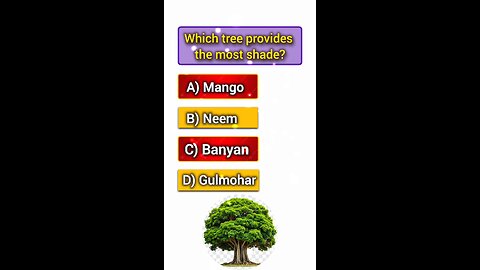 which three provides the most shade 🤔