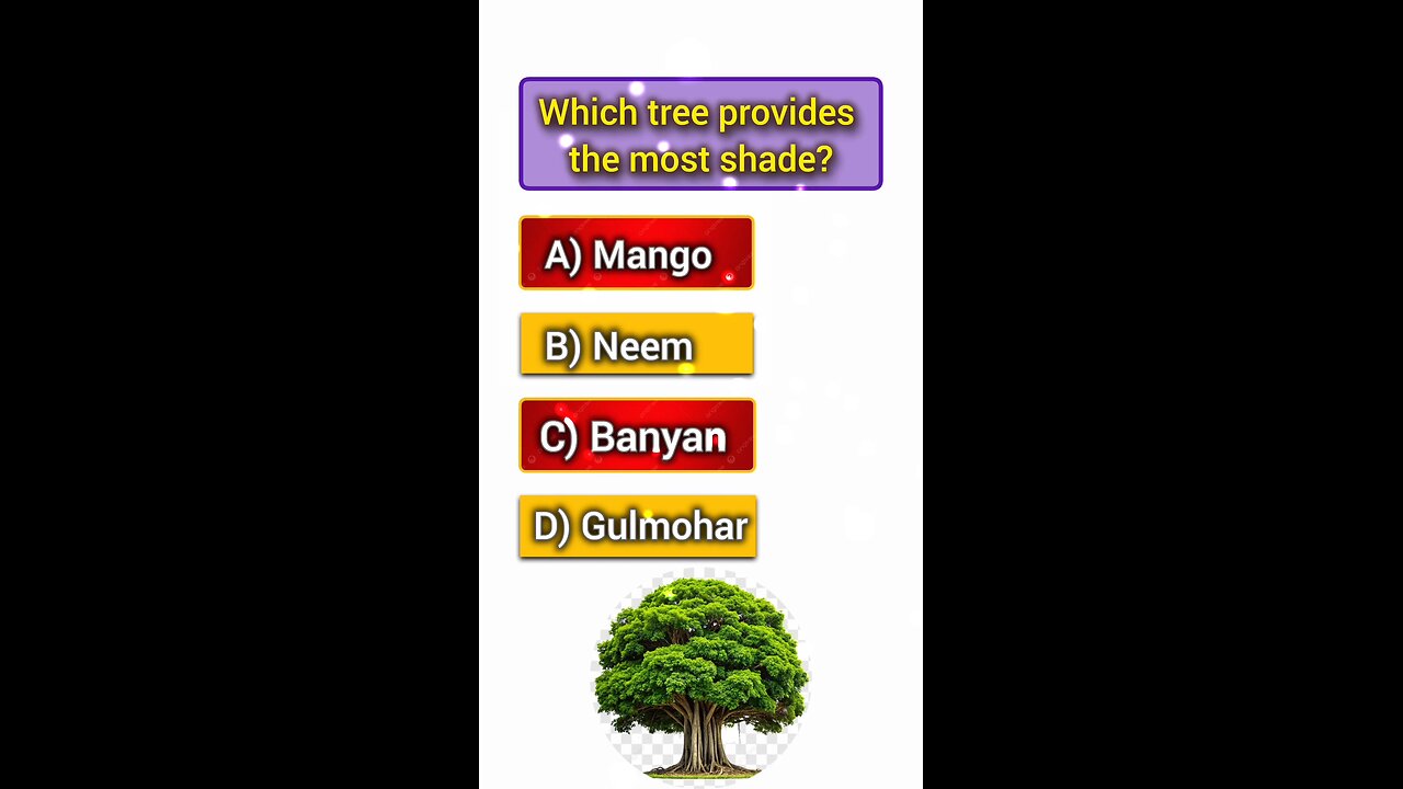 which three provides the most shade 🤔