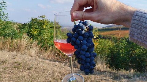 Villány wine rural Hungary