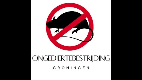 Op zoek naar professionele ongediertebestrijding in Groningen?