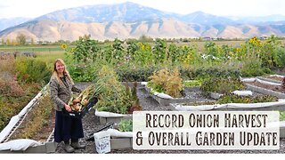 2+ Pound Onions & A New Record Total Harvest! How Did Everything Else in the Garden Do this Year?