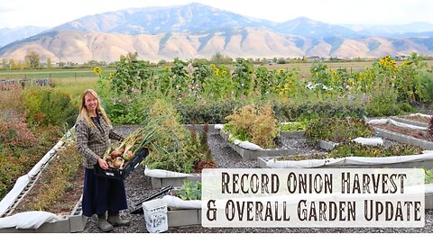 2+ Pound Onions & A New Record Total Harvest! How Did Everything Else in the Garden Do this Year?