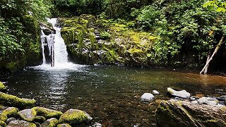 (4K UHD) HIKING HIGHLIGHTS - Sweet Creek Falls @ Sweet Creek Trail | Siuslaw NF | Oregon Coast Range