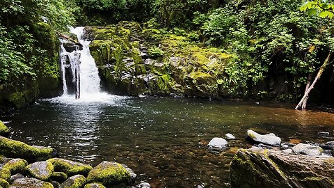 (4K UHD) HIKING HIGHLIGHTS - Sweet Creek Falls @ Sweet Creek Trail | Siuslaw NF | Oregon Coast Range