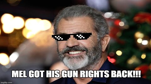 DoJ Official GETS WRECKED for opposing Mel Gibson's gun rights!!!