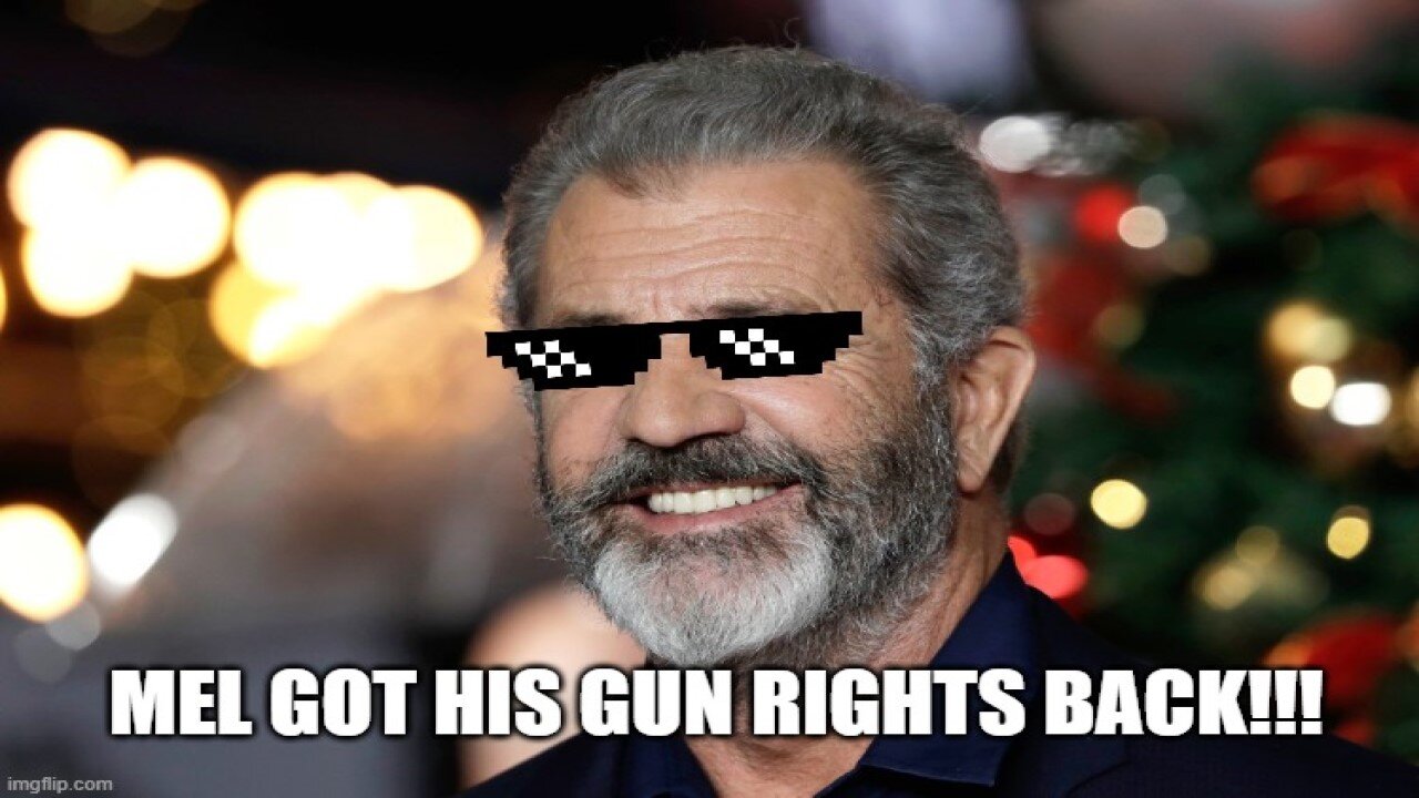 DoJ Official GETS WRECKED for opposing Mel Gibson's gun rights!!!