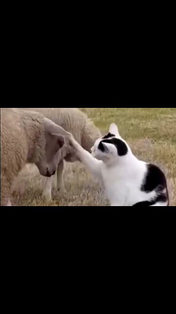 SPEAKING THROUGH TRAGEDY - DAILY DEVOTIONAL ❤️