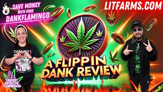 A Flippin' Dank Review for Lit Farms! Dankin with the Flamingos Review!!