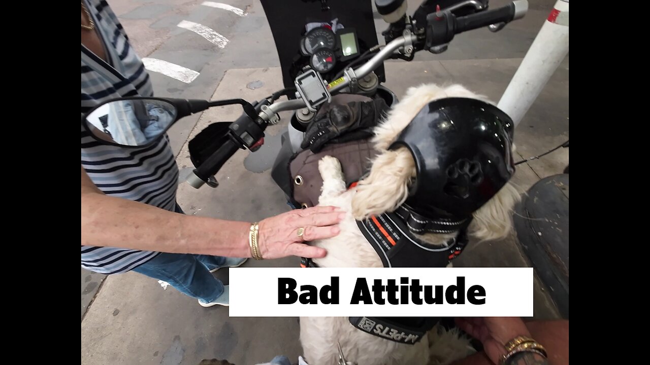 Bad Attitude