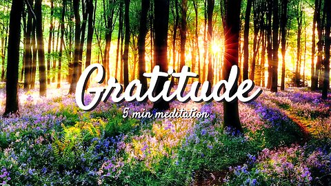 🙏🕊️ Find INNER PEACE with Gratitude Meditation! 🕊️🙏