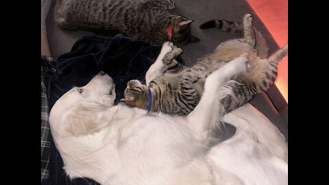 Episode 3094 - The Scott Adams School 02/13/26