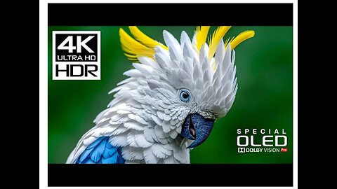 Unstoppable Beauty of 4K Videos | 4K HDR 120fps | Dolby Vision