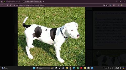 BREAKING NEWS - Silver Price is About to DO WHAT?