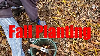 Final Planting of 2025