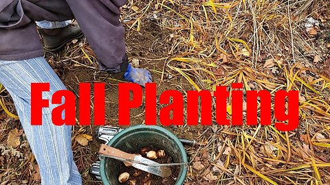 Final Planting of 2025