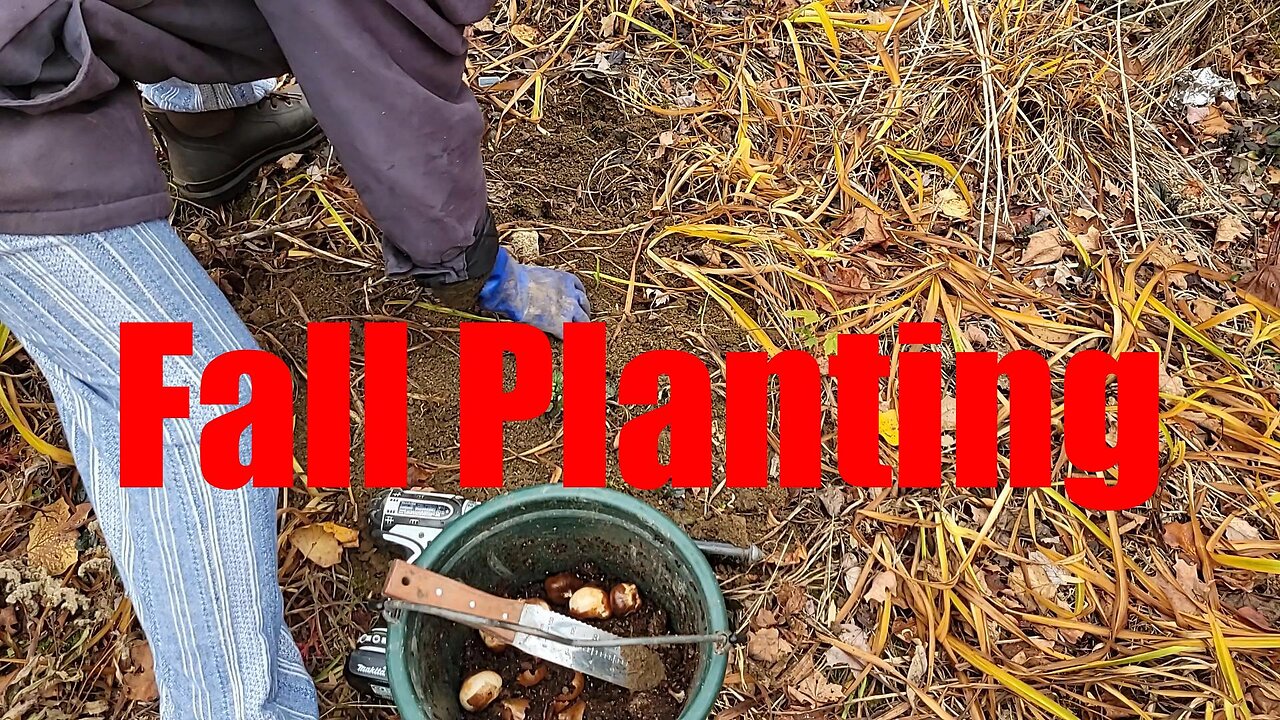 Final Planting of 2025