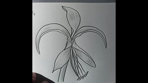 how to draw a fleur-de-lis