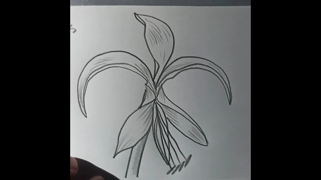 how to draw a fleur-de-lis