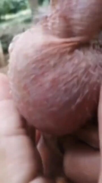 WELL I GUESS YALL WAS WRONG TOO