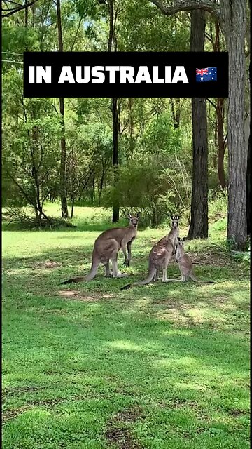 Only in Australia 🇦🇺