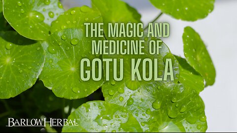 The Health Benefits of Gotu Kola