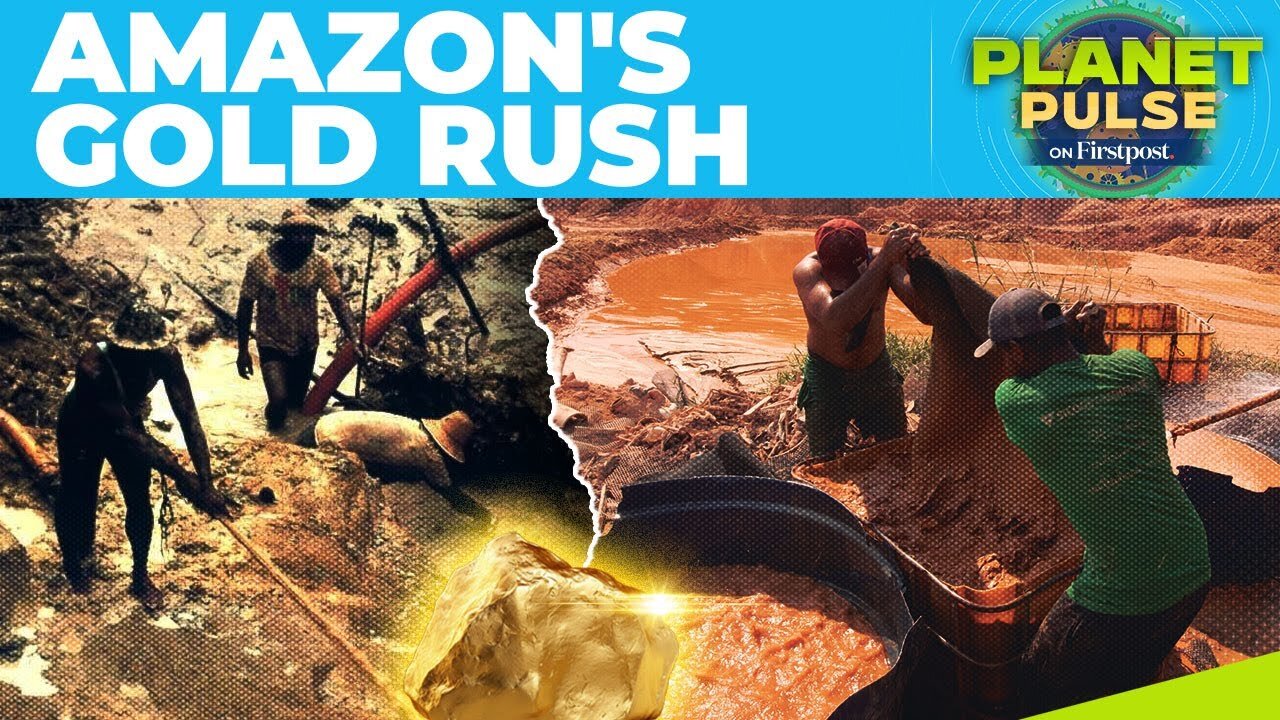 Poverty Drives Indigenous Communities into Illegal Gold Mining in Brazil's Amazon | Planet Pulse