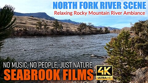 North Fork River Scene: Relaxing Rocky Mountain River Ambiance