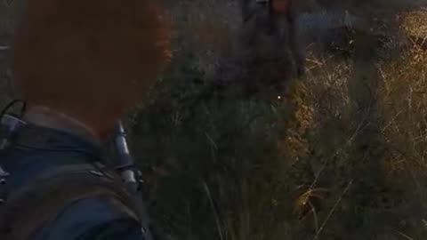 Are swamp Donkeys in Arc Raiders?! 🤔