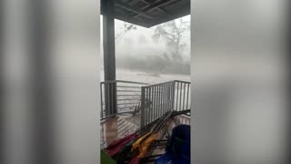 Trees sway in strong winds as tropical storm lashes the Philippines