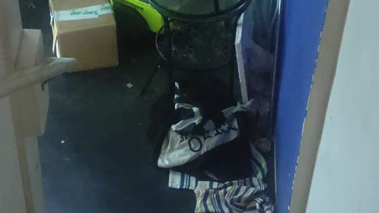 😱👻 Caught on Camera: Shadows Moving Downstairs! | TheHauntingHour