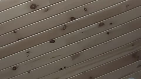 Can't Sleep, Going Insane, Physical and Emotional Pain