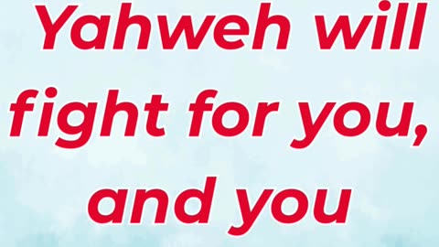 “The Lord Will Fight for You” Exodus 14:14.#shortvideo #youtubeshorts #reels #ytshorts #youtube #yt