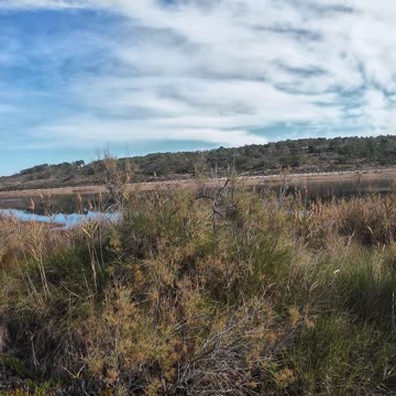 Chripmaz Trekking and Birdwatching in Lagoa de Sto Andre 26th DEC 2025 pt 8