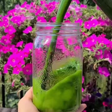 21-Day Smoothie Challenge – Your Secret to a Dream Waistline!