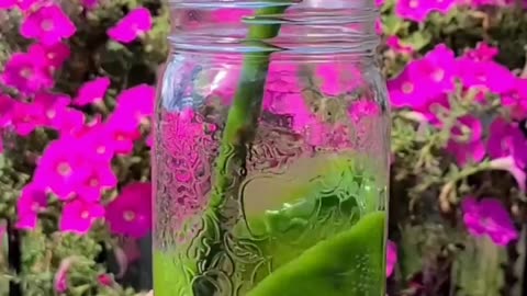 21-Day Smoothie Challenge – Your Secret to a Dream Waistline!