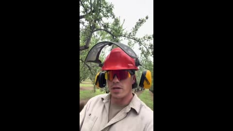 Popp's next major purchase