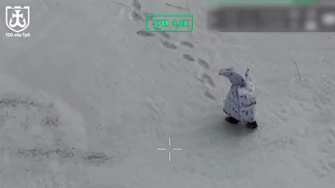 A Second Russian Penguin is On the Loose