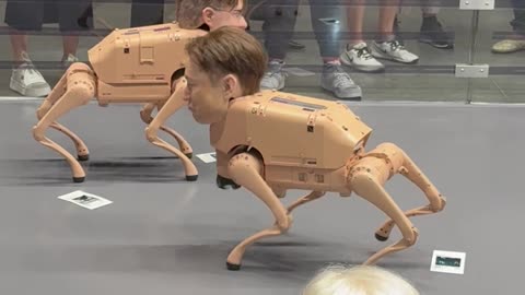 Artist Beeple's 'Regular Animals' at Art Basel