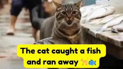 The cat caught a fish and ran away 🐈🐟-