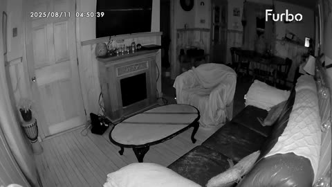 😨🐶 The Scariest Pet Camera Ghost Sighting I've Ever Seen! | TheHauntingHour