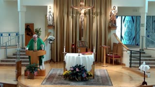 Homily for the 27th Sunday in Ordinary Time "C"