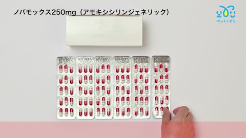 ノバモックス250mg（アモキシシリンジェネリック）