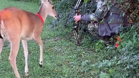 Hunting Safety Class for Deer
