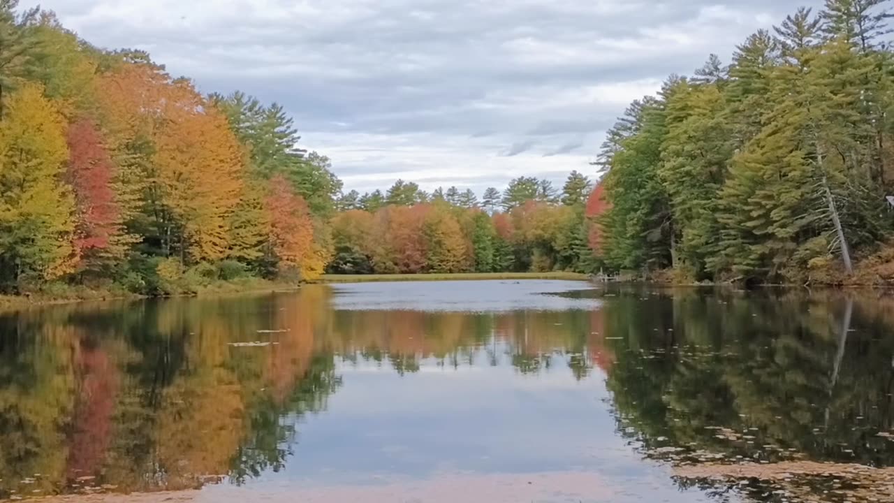 Great View