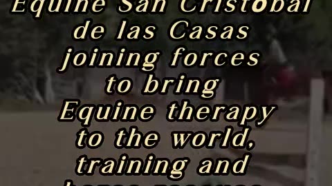 Syncretism and Equine San Cristóbal de las Casas