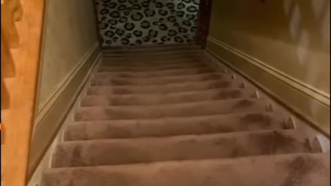 😱👻 3 Horror Videos of Restless Souls | TheHauntingHour