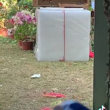 DEW - Direct Energy Weapon - Then blame it on Climate Change